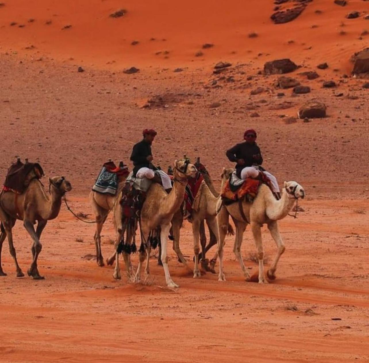 Bedouin Bunch Camp Hotel Wadi Rum Ngoại thất bức ảnh