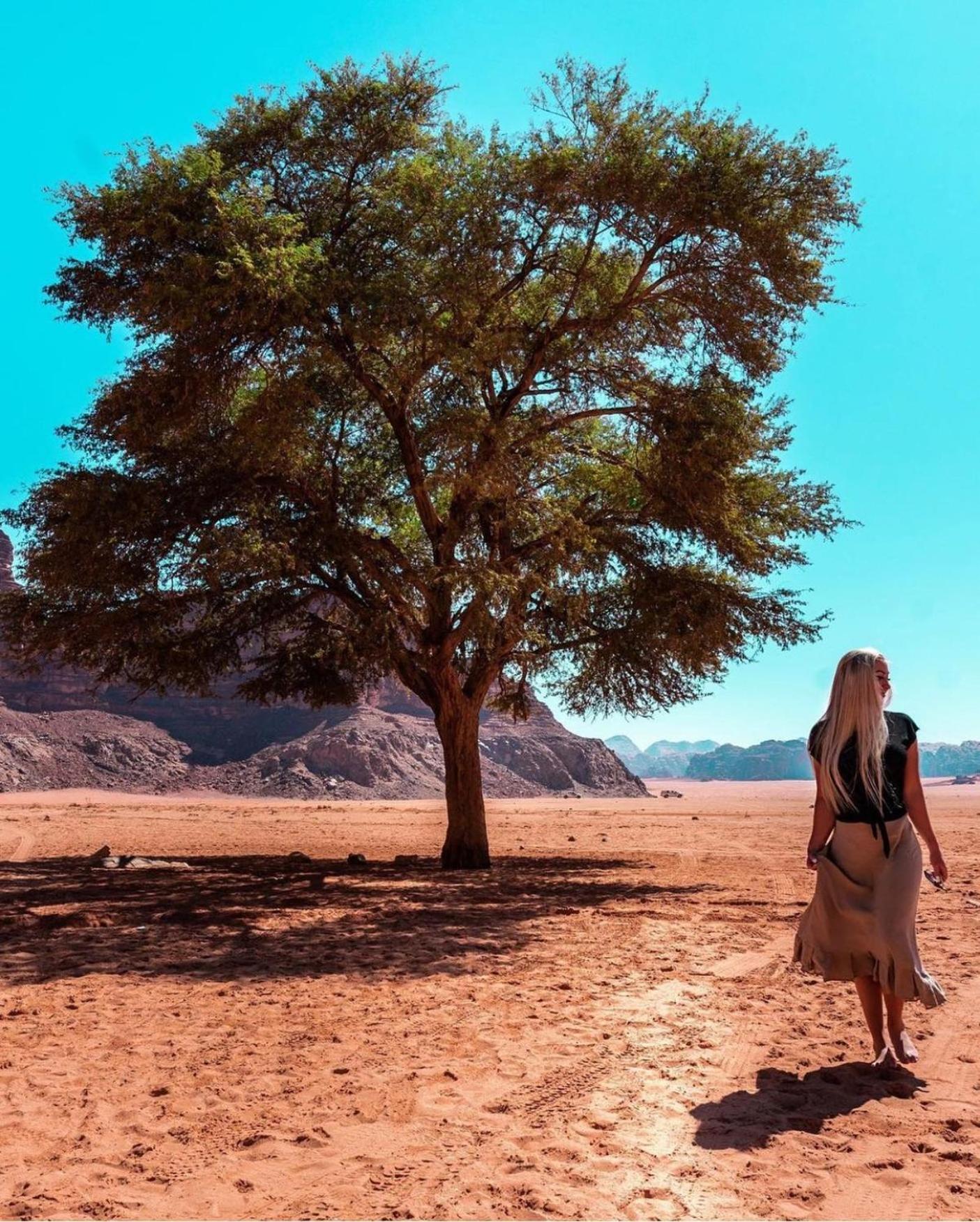Bedouin Bunch Camp Hotel Wadi Rum Ngoại thất bức ảnh