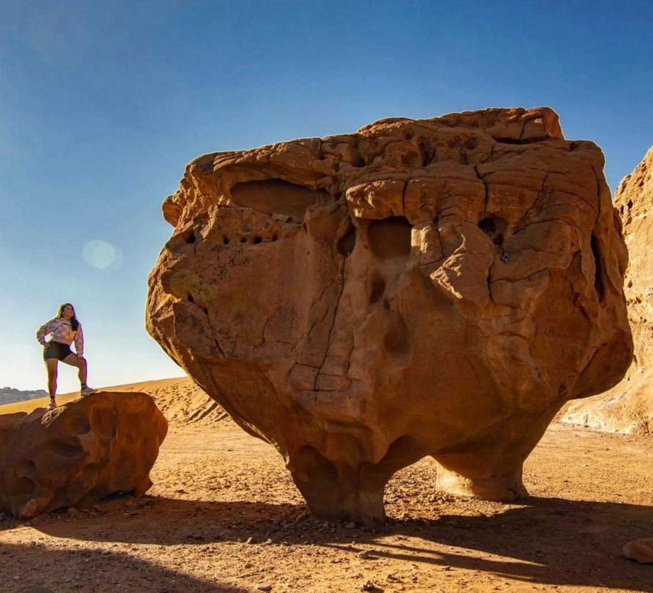 Bedouin Bunch Camp Hotel Wadi Rum Ngoại thất bức ảnh