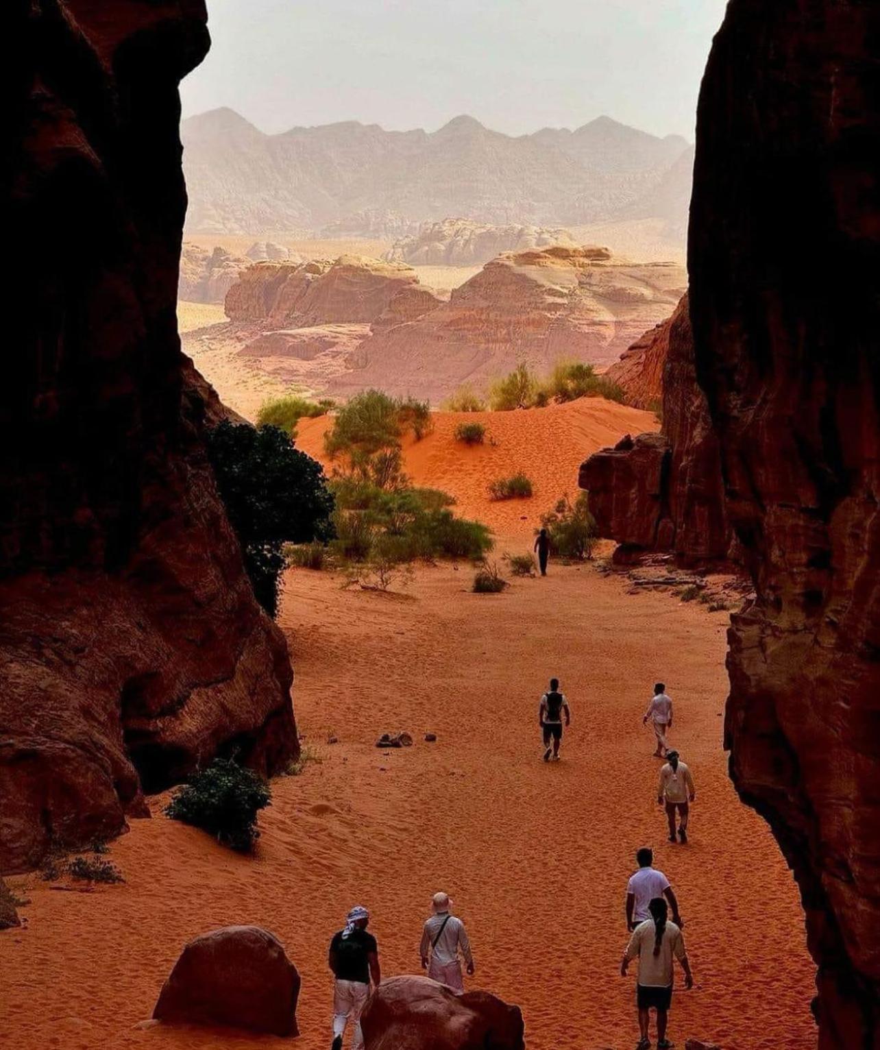 Bedouin Bunch Camp Hotel Wadi Rum Ngoại thất bức ảnh